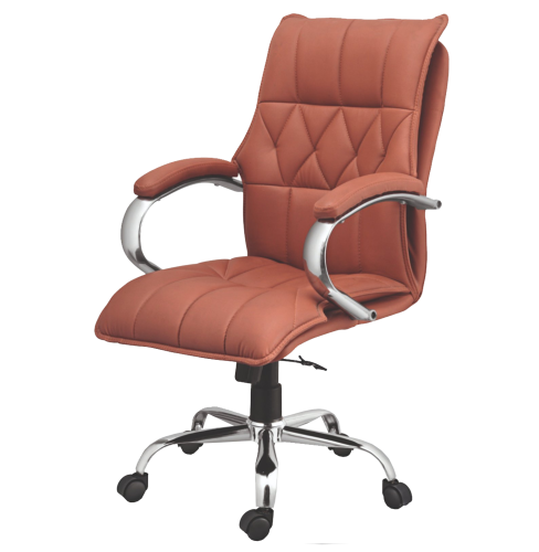 Director Chair